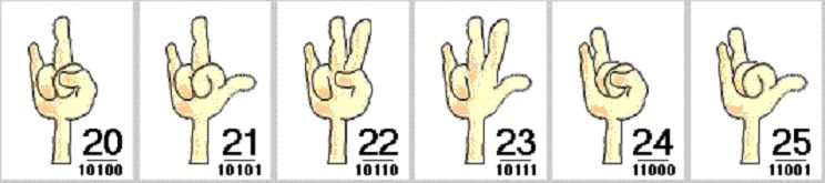 fingers 20-25